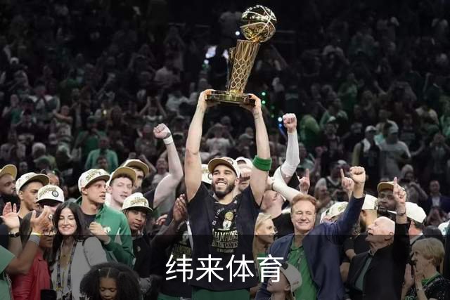 纬来体育公司介绍